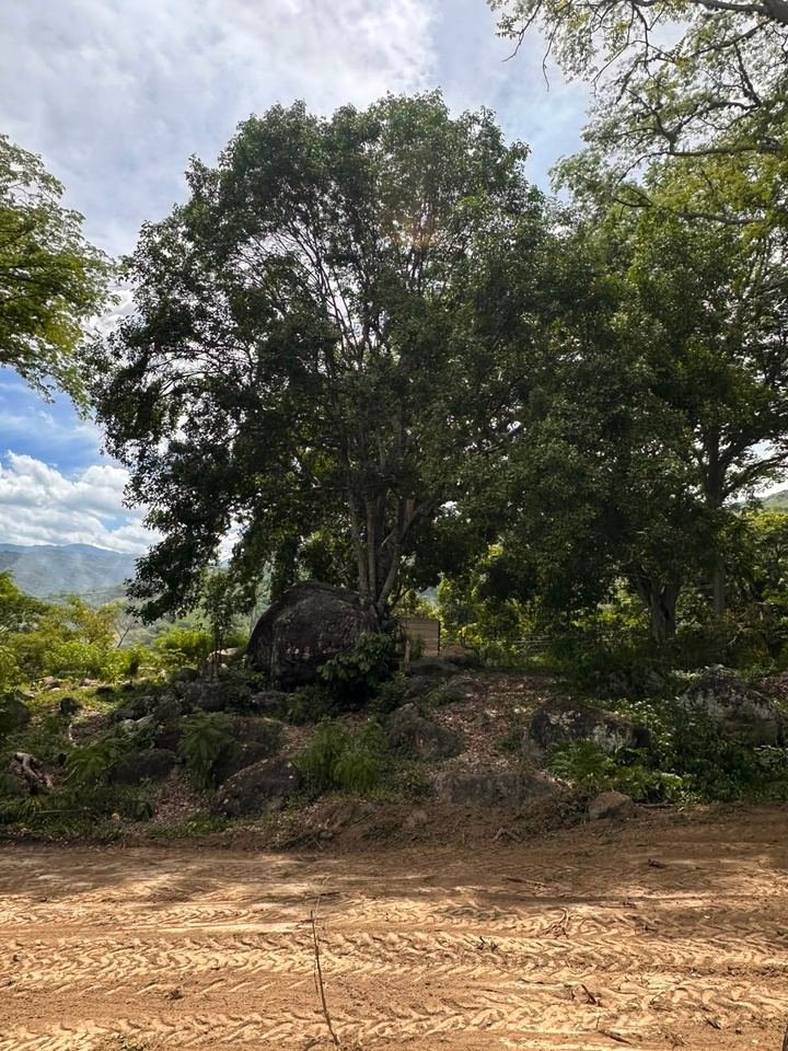 Frutas típicas de Sopetrán, tierra de las frutas