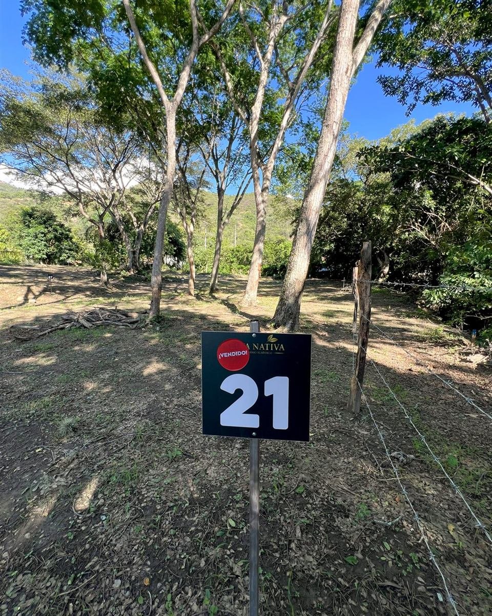 Lote 21 marcado entre árboles en Selva Nativa, Sopetrán